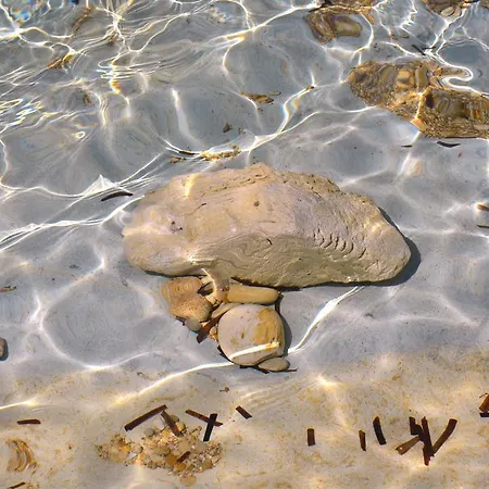 Апартаменты Domino Blue