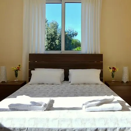 Domino Blue 公寓 帕拉利米尼